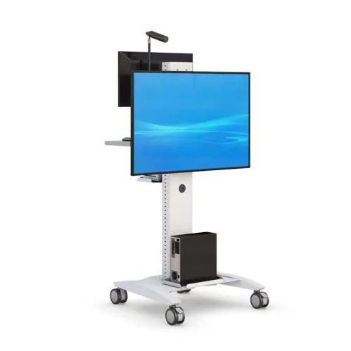 Mobile Flat Screen Stand